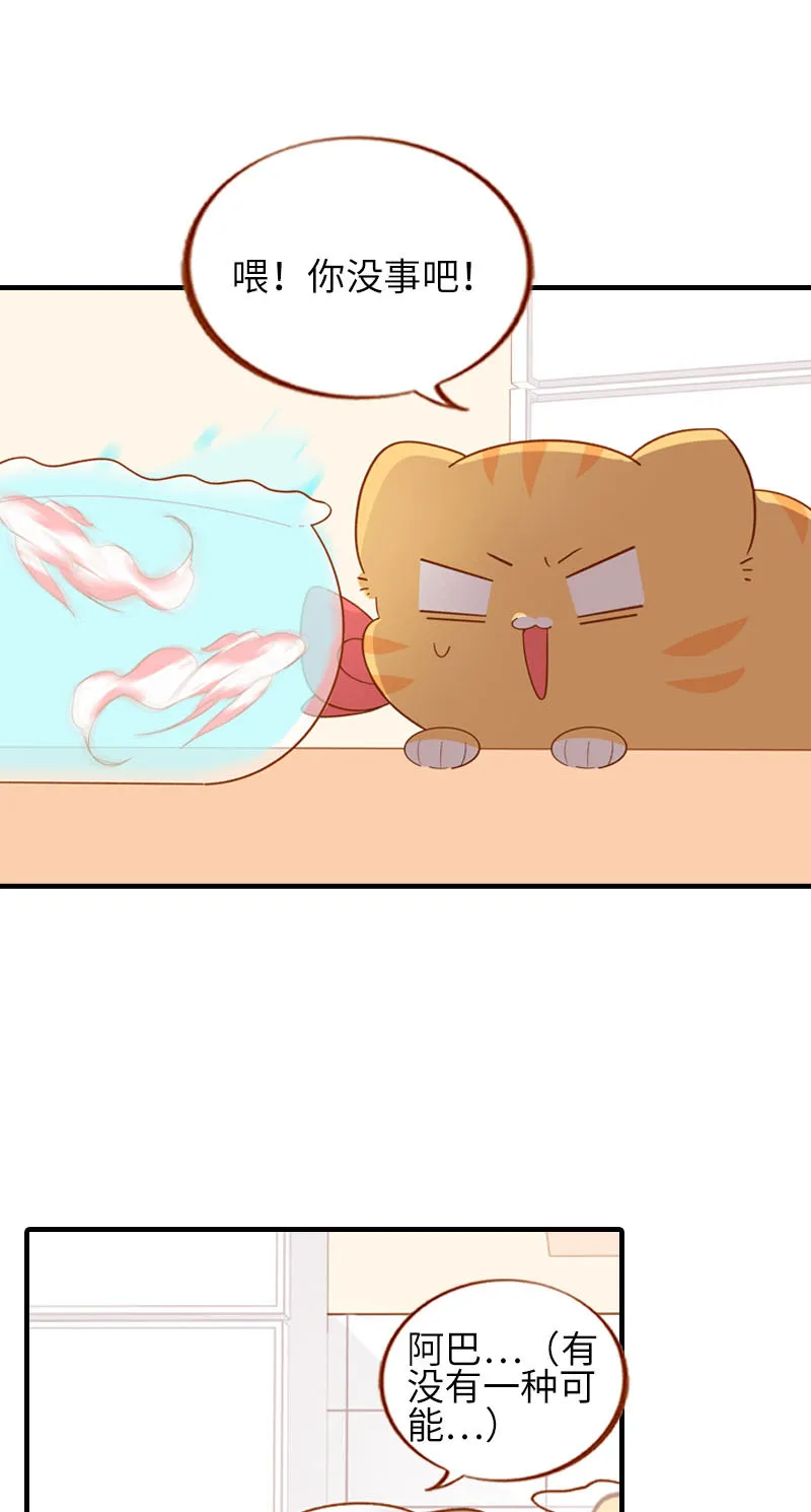 第57话 谁还吃观赏鱼啊~ 第8页
