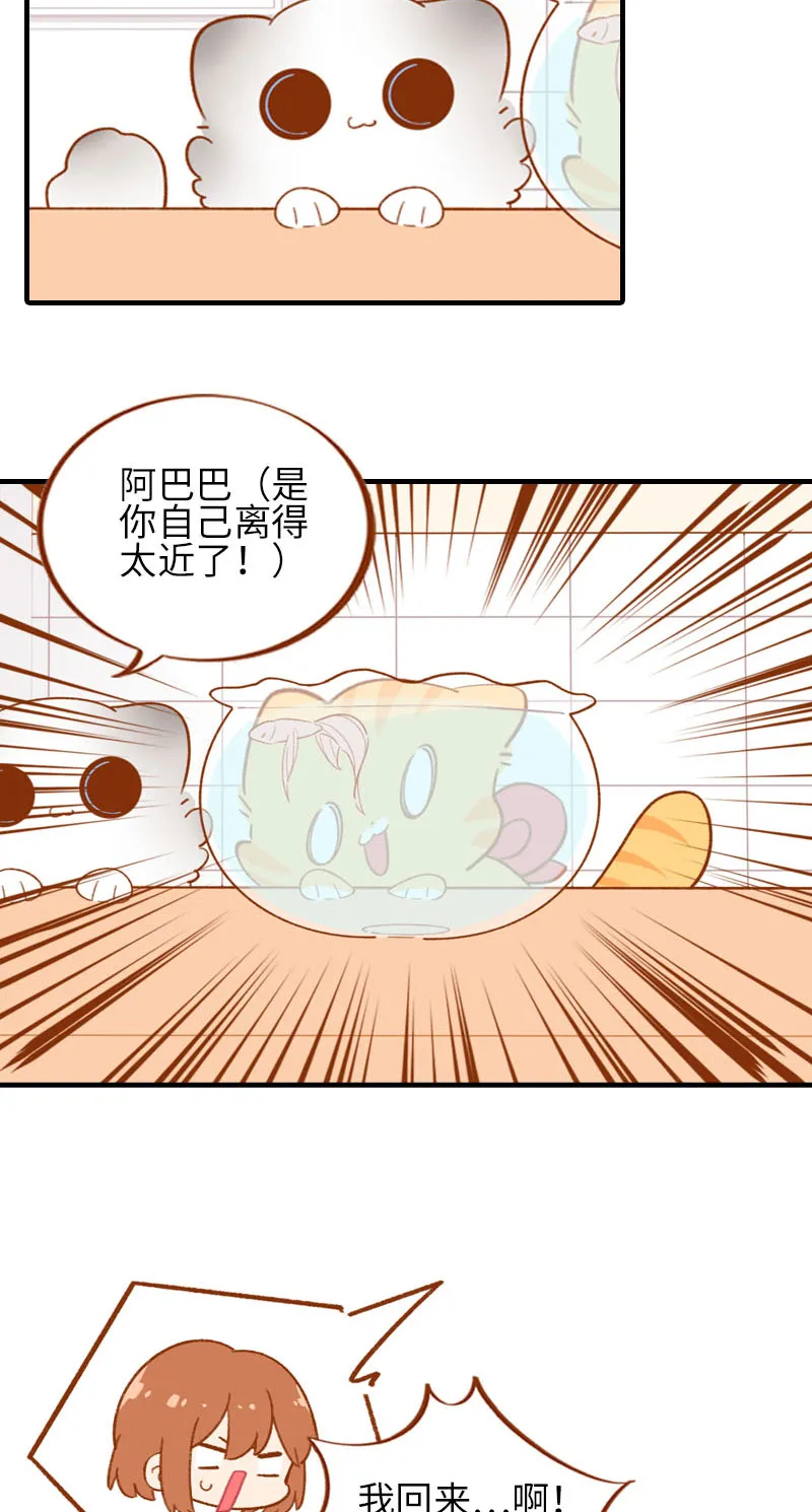 第57话 谁还吃观赏鱼啊~ 第9页