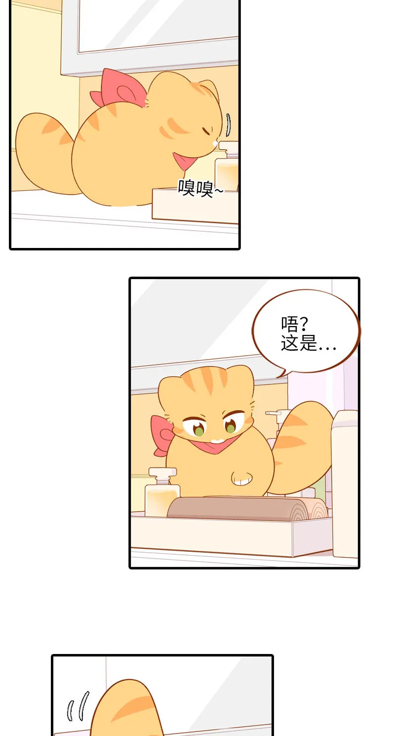 第58话 橘子和阿巴巴风格转换！ 第5页