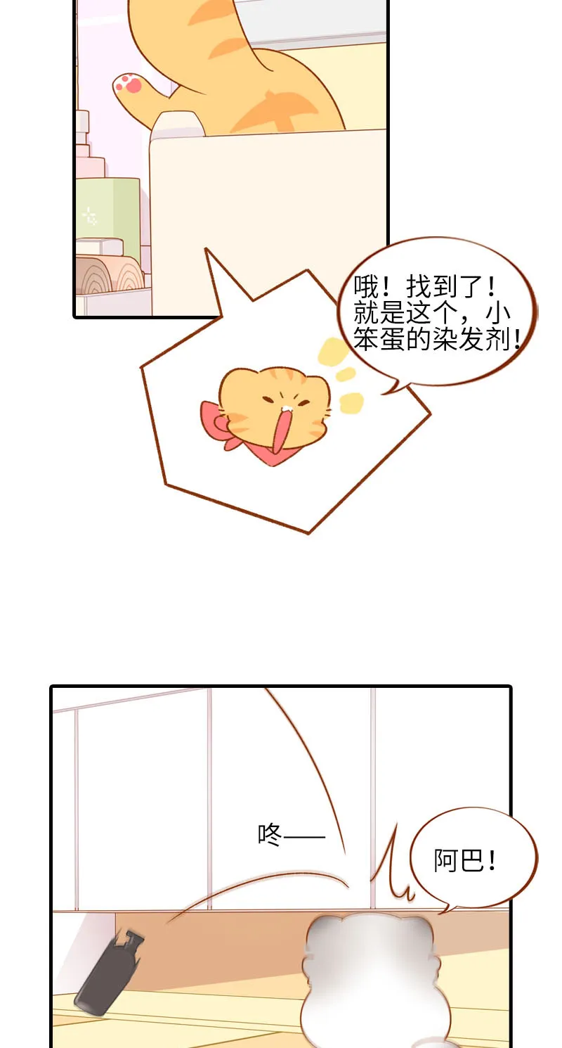 第58话 橘子和阿巴巴风格转换！ 第6页