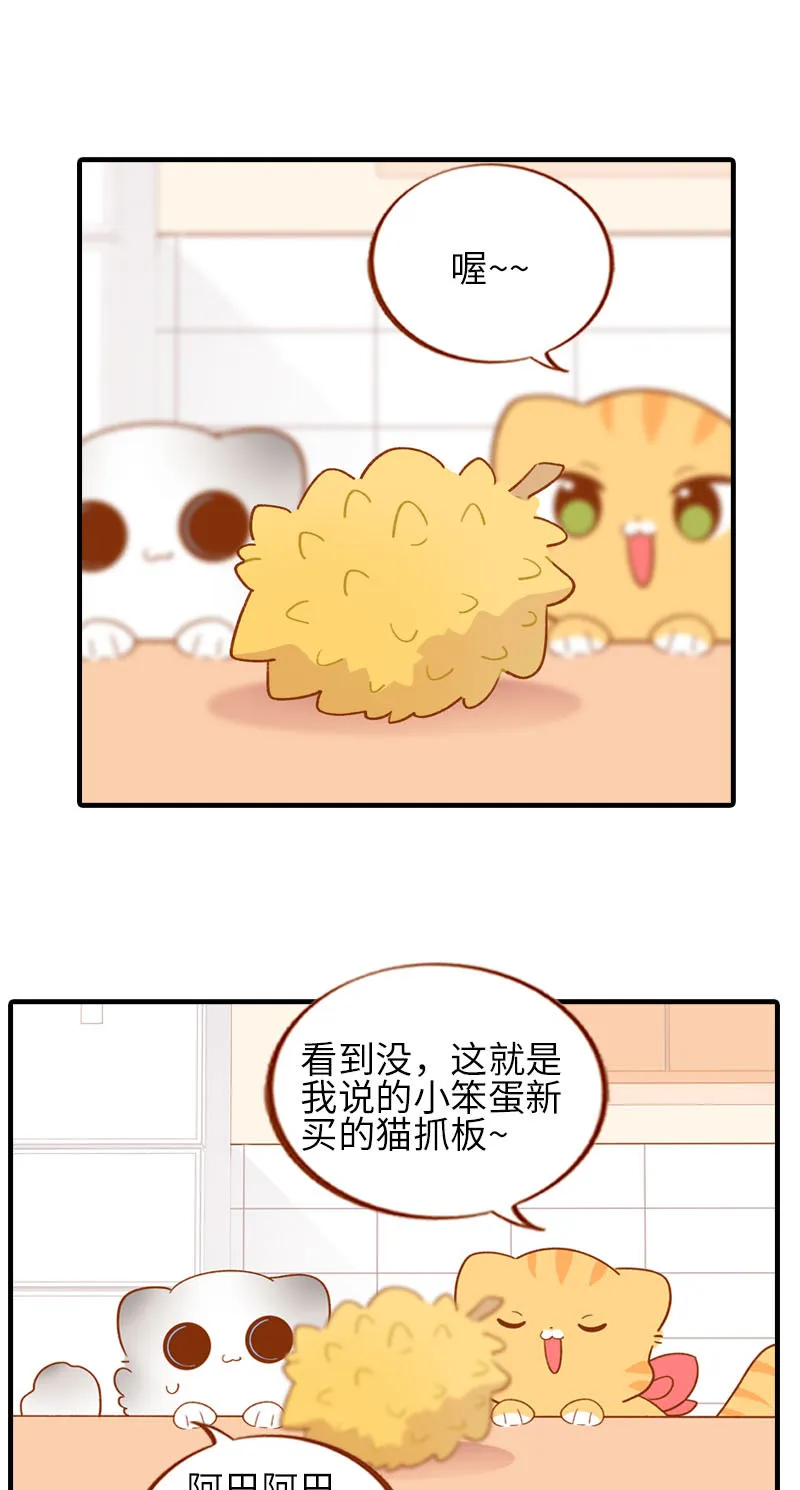 第59话 来口榴莲 第2页