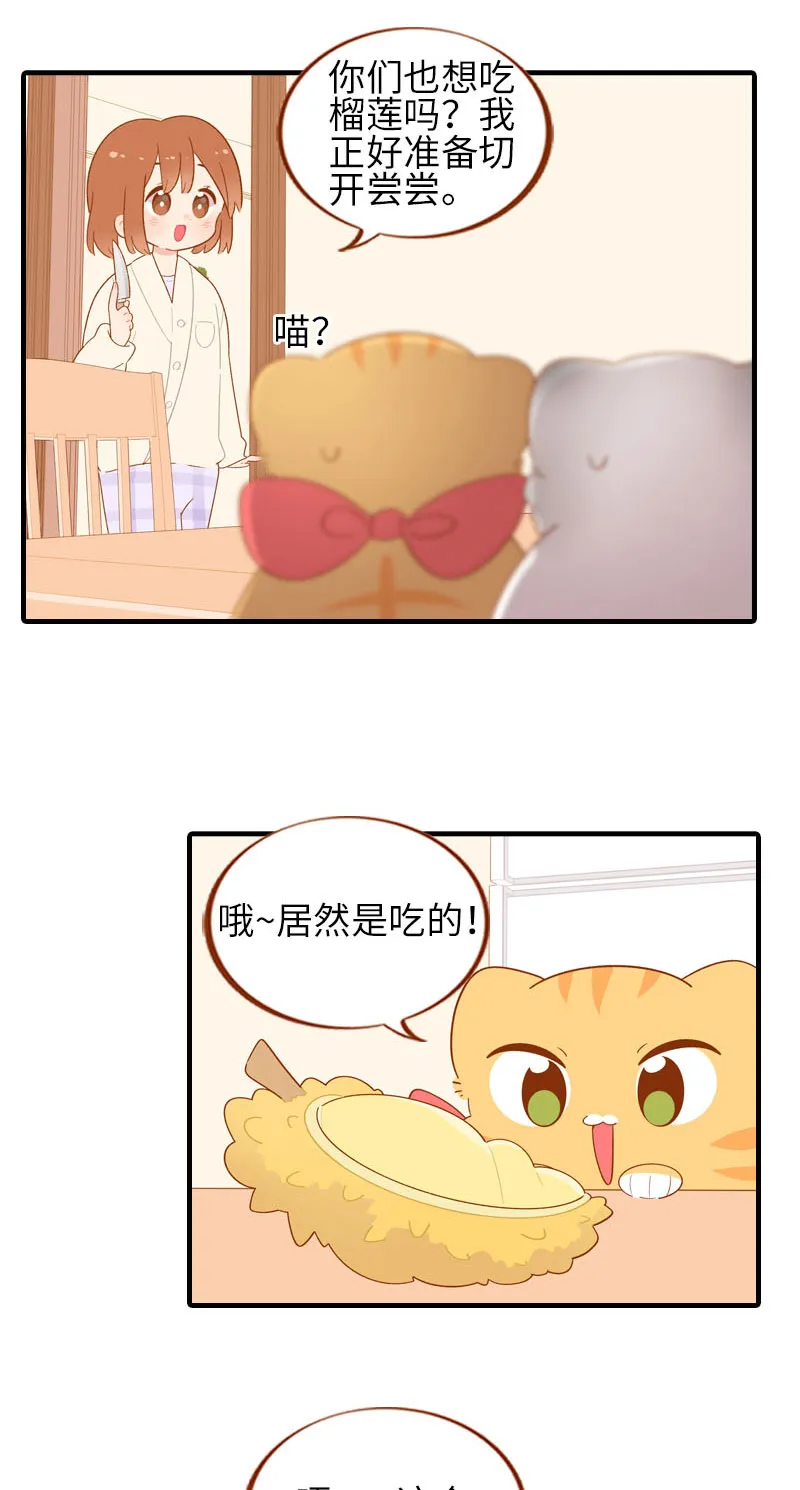 第59话 来口榴莲 第5页