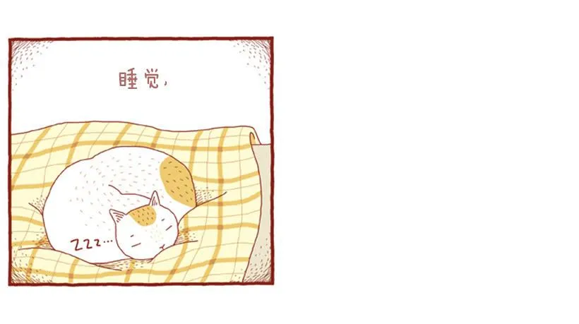 讨厌下雨的声音 第15页