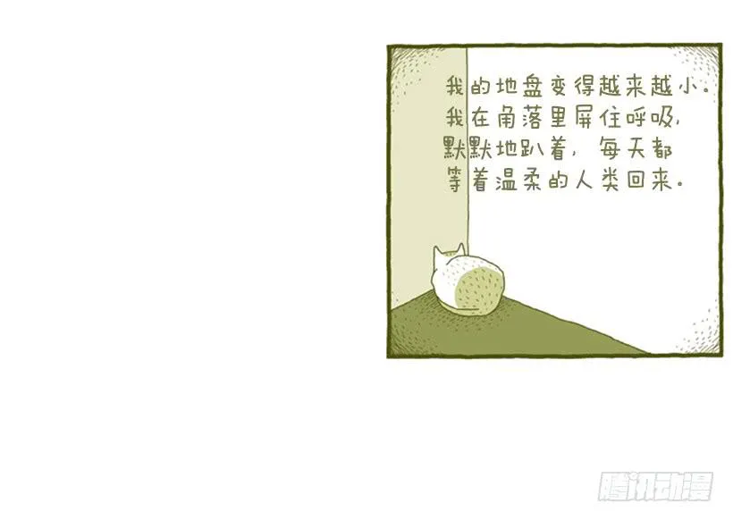 她去哪儿了 第12页
