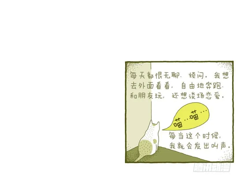 她去哪儿了 第13页
