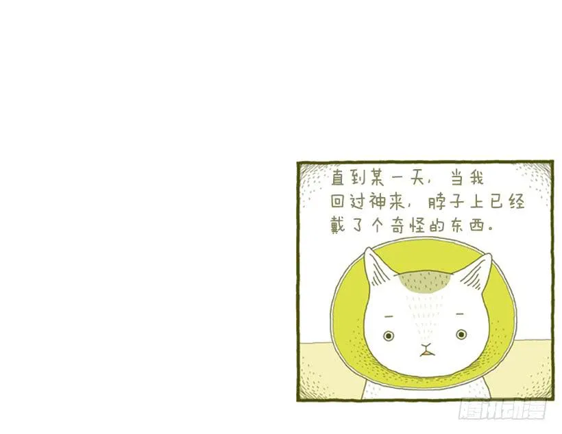 她去哪儿了 第15页
