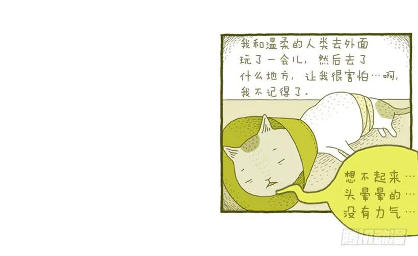 她去哪儿了 第16页