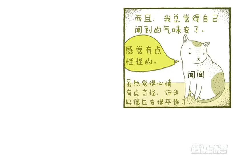 她去哪儿了 第17页
