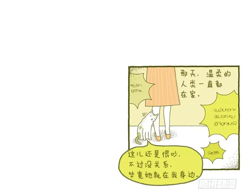 她去哪儿了 第23页