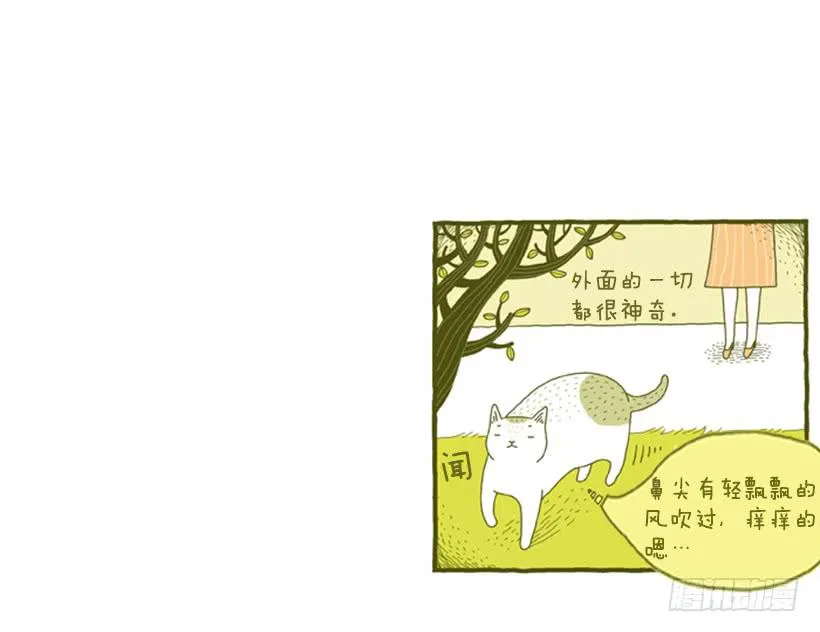 她去哪儿了 第25页