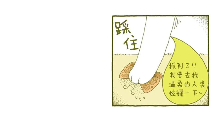 她去哪儿了 第30页