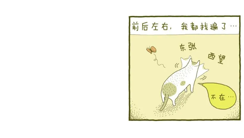 她去哪儿了 第32页