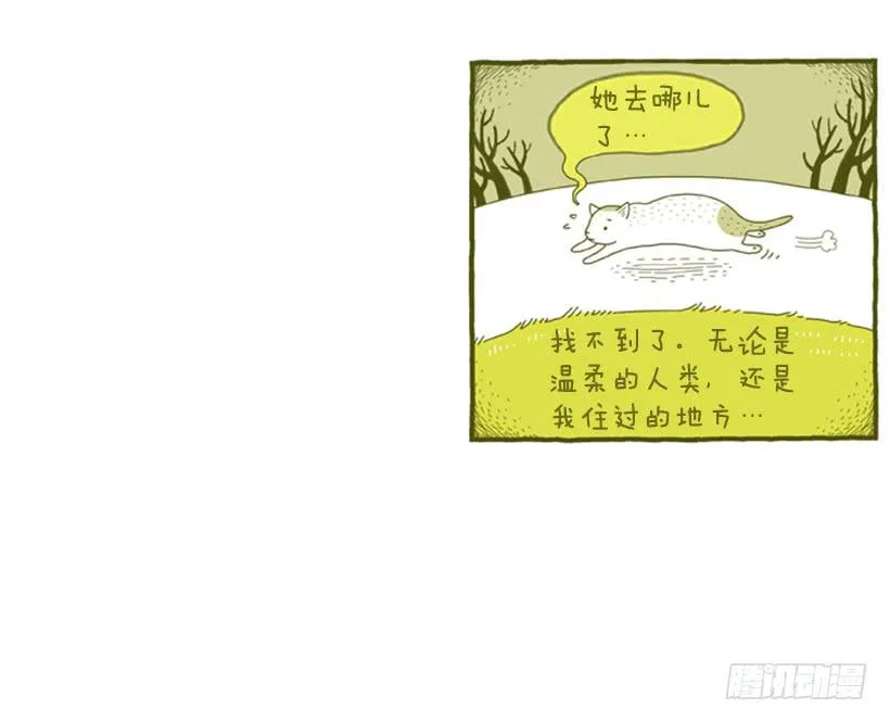 她去哪儿了 第33页