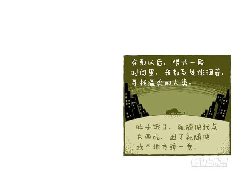 她去哪儿了 第34页