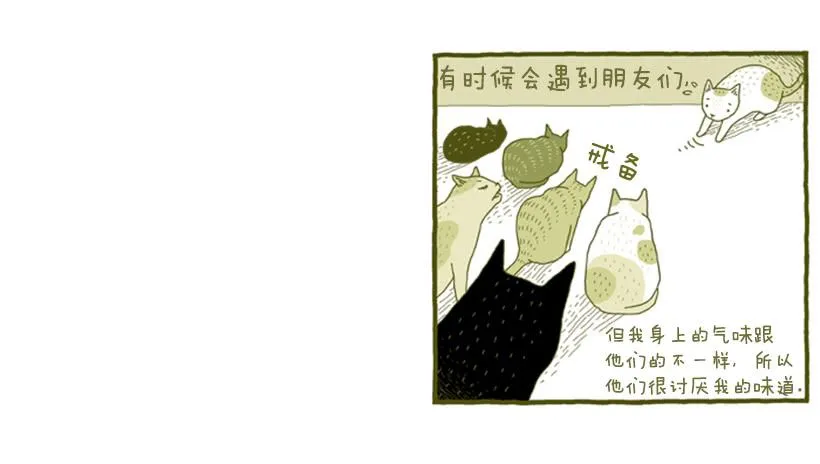 她去哪儿了 第35页