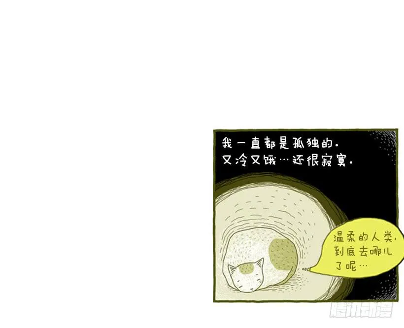 她去哪儿了 第37页