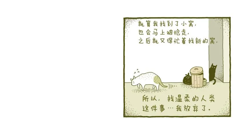 她去哪儿了 第38页