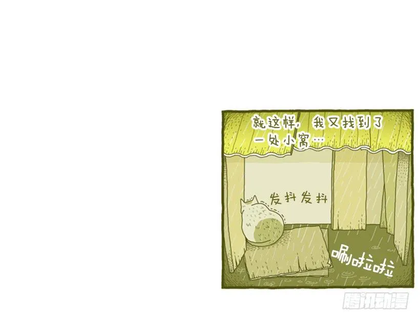 她去哪儿了 第40页