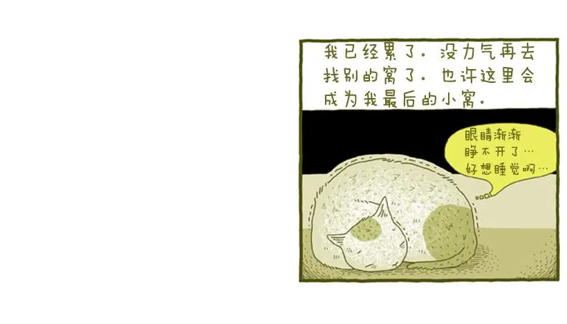 她去哪儿了 第42页