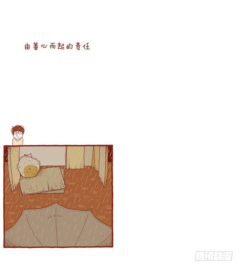 不漏雨的小窝 第3页