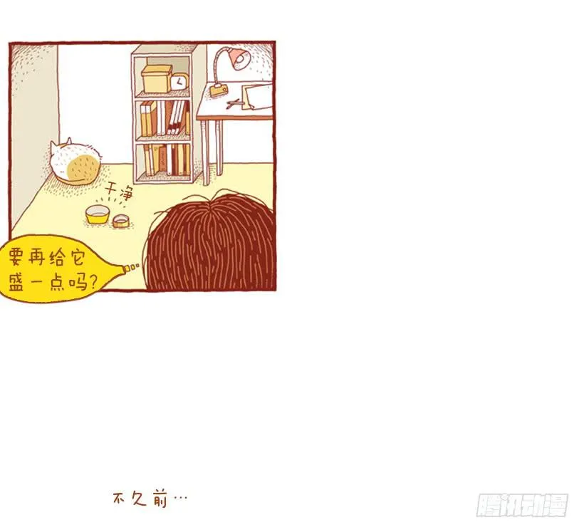 不漏雨的小窝 第14页