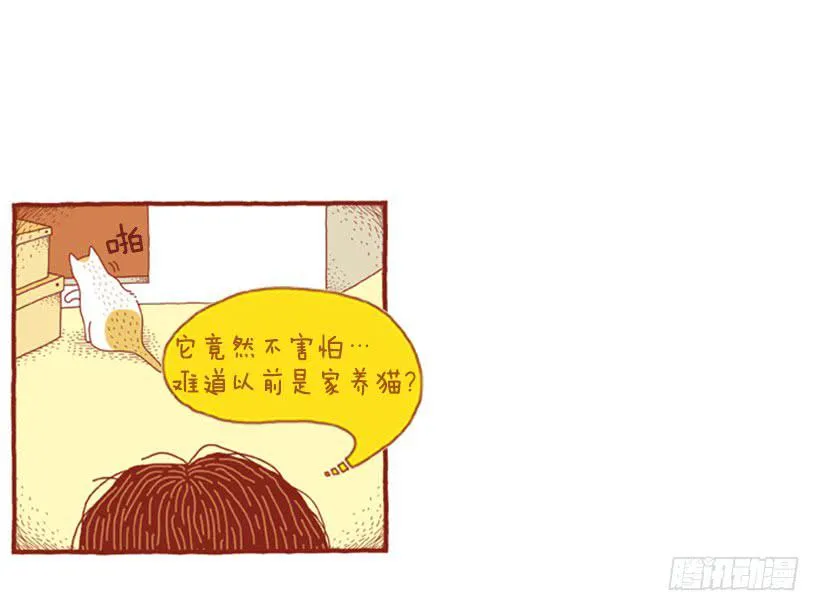 不漏雨的小窝 第22页