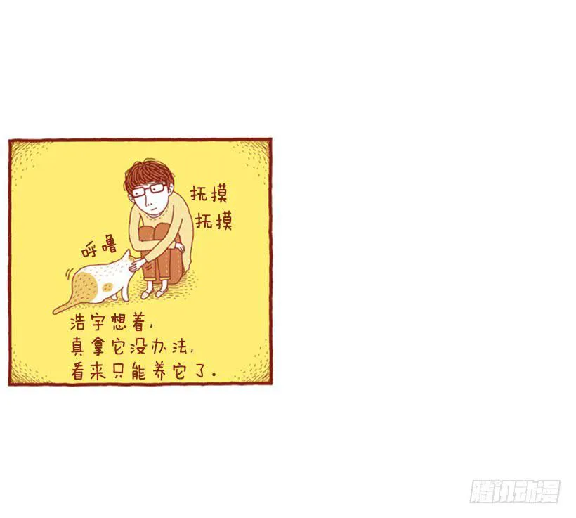 不漏雨的小窝 第27页