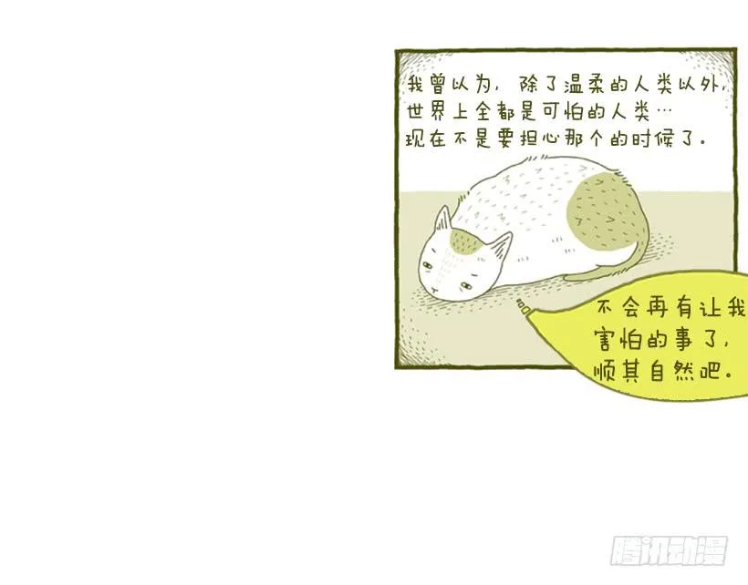 不漏雨的小窝 第29页