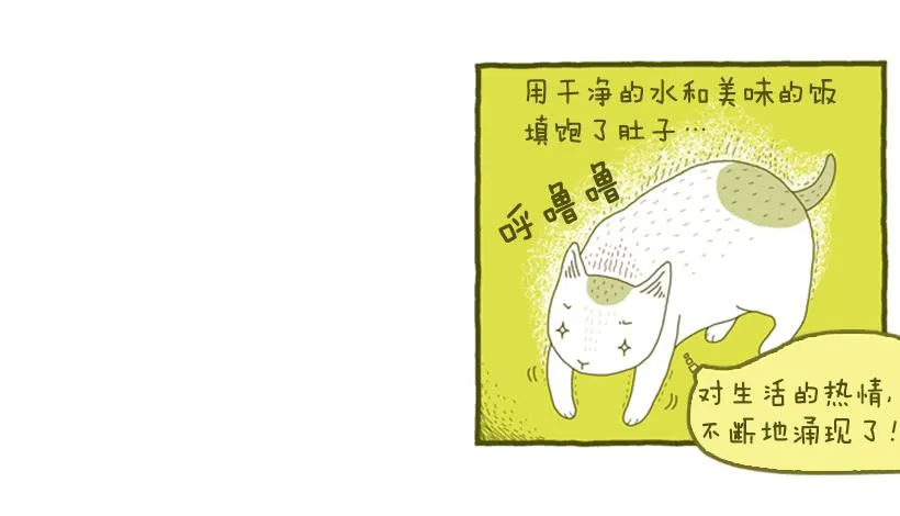 不漏雨的小窝 第32页