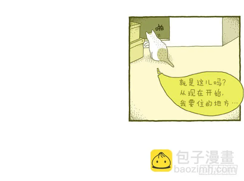 不漏雨的小窝 第37页