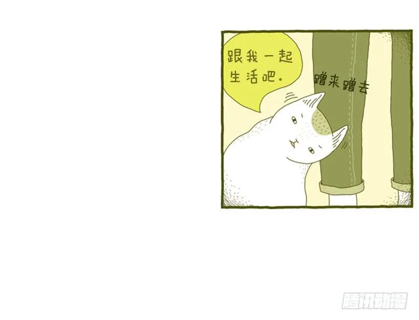 不漏雨的小窝 第40页