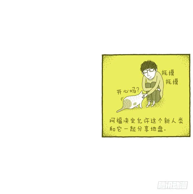 不漏雨的小窝 第41页