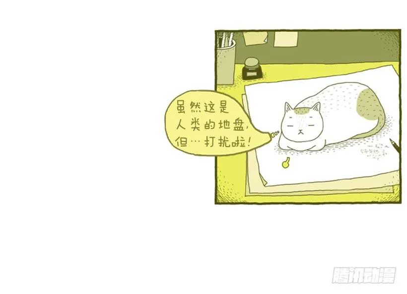 人类的地盘 第35页