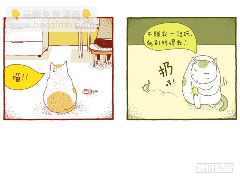不妨碍对方 第41页
