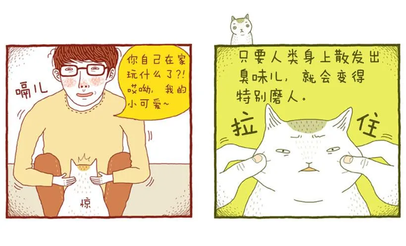 讨厌酒味的原因 第10页