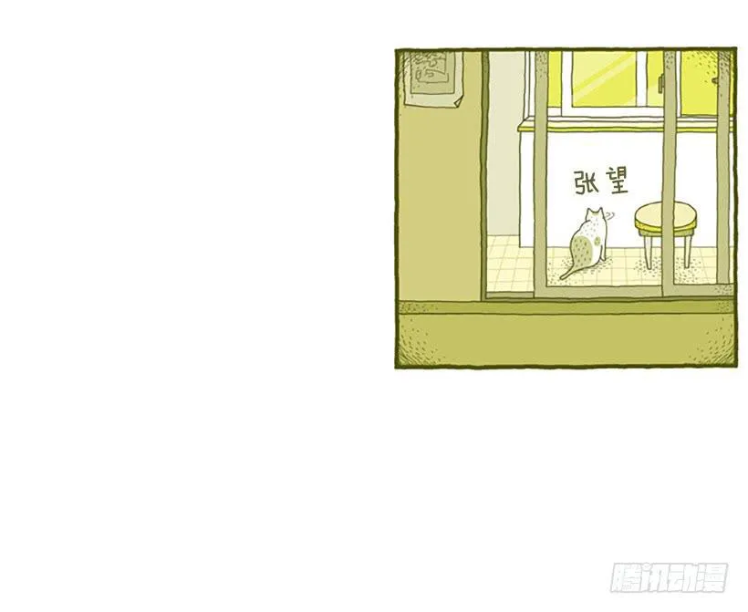 窗外的猫 上篇 第11页