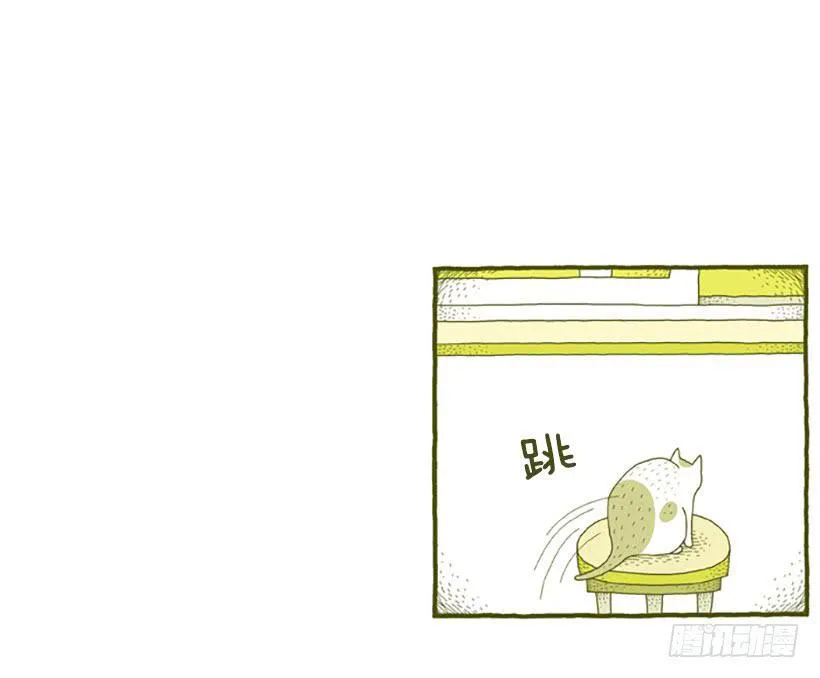 窗外的猫 上篇 第12页