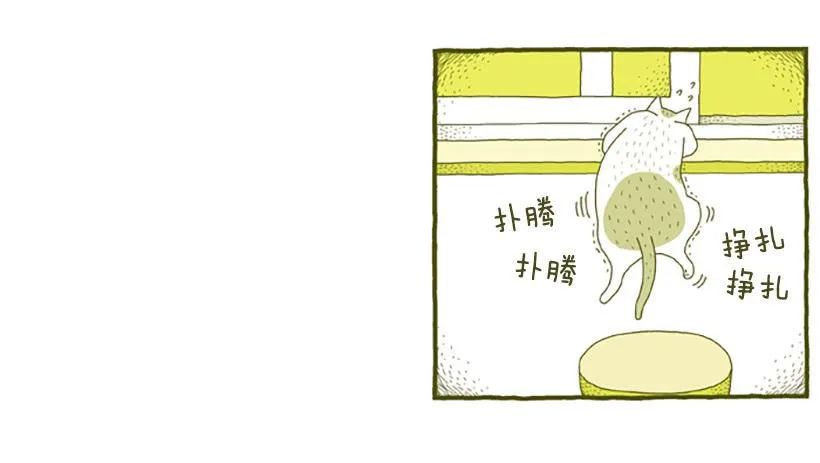 窗外的猫 上篇 第14页