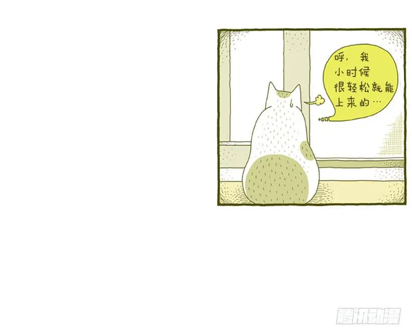 窗外的猫 上篇 第16页