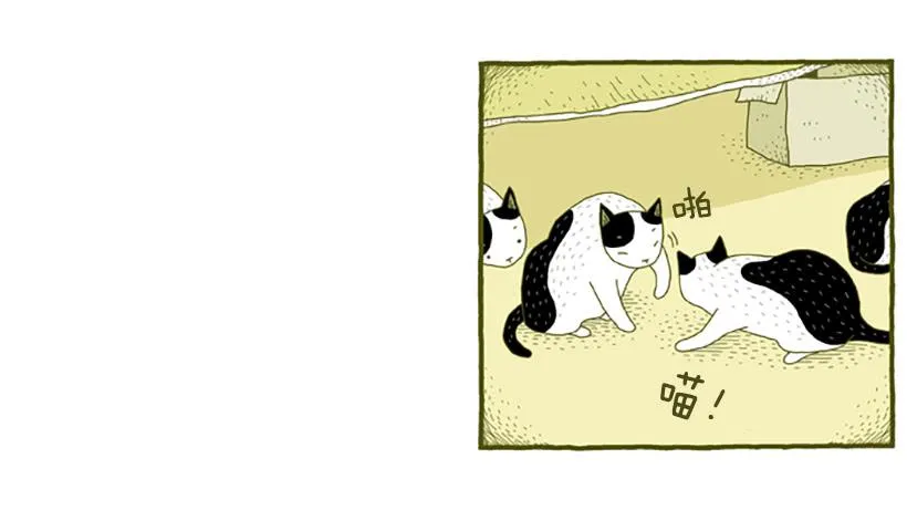 窗外的猫 上篇 第33页
