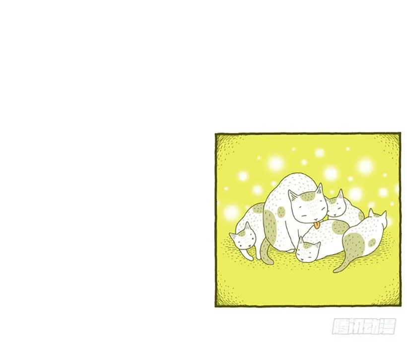 窗外的猫 上篇 第36页