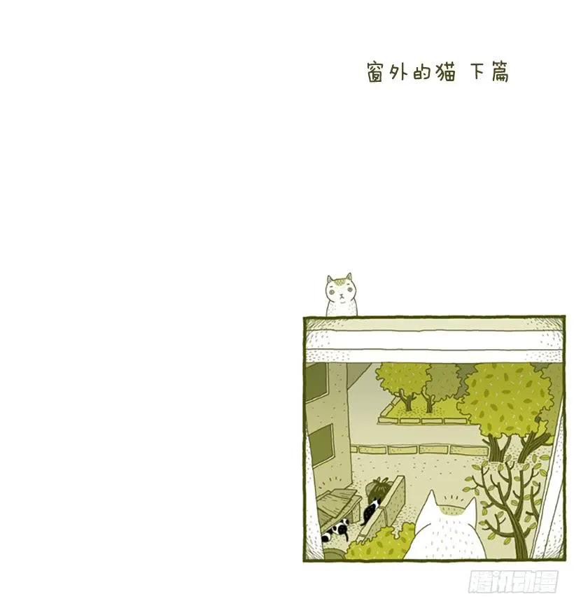 窗外的猫 下篇 第2页