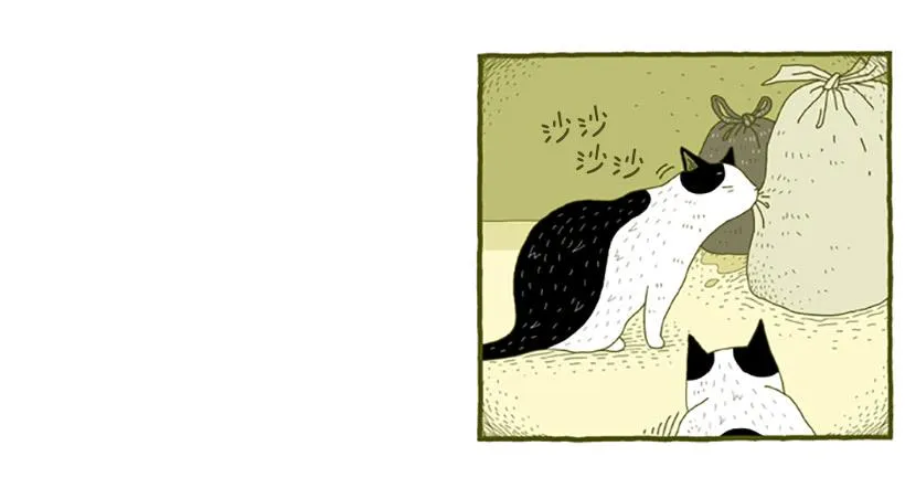 窗外的猫 下篇 第3页