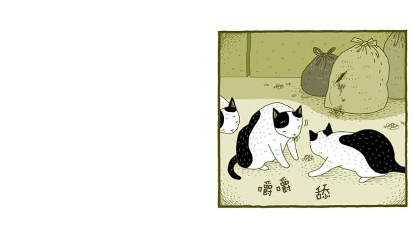 窗外的猫 下篇 第4页