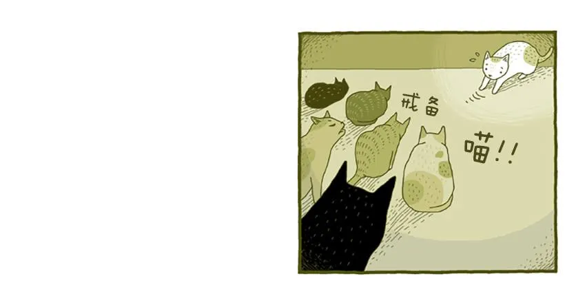 窗外的猫 下篇 第9页
