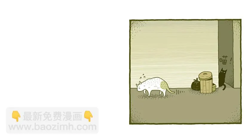 窗外的猫 下篇 第10页