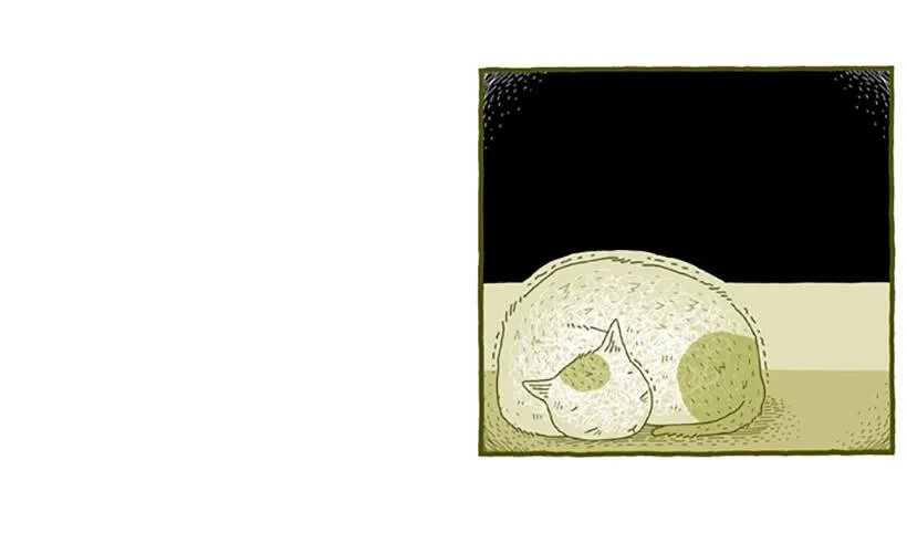 窗外的猫 下篇 第11页