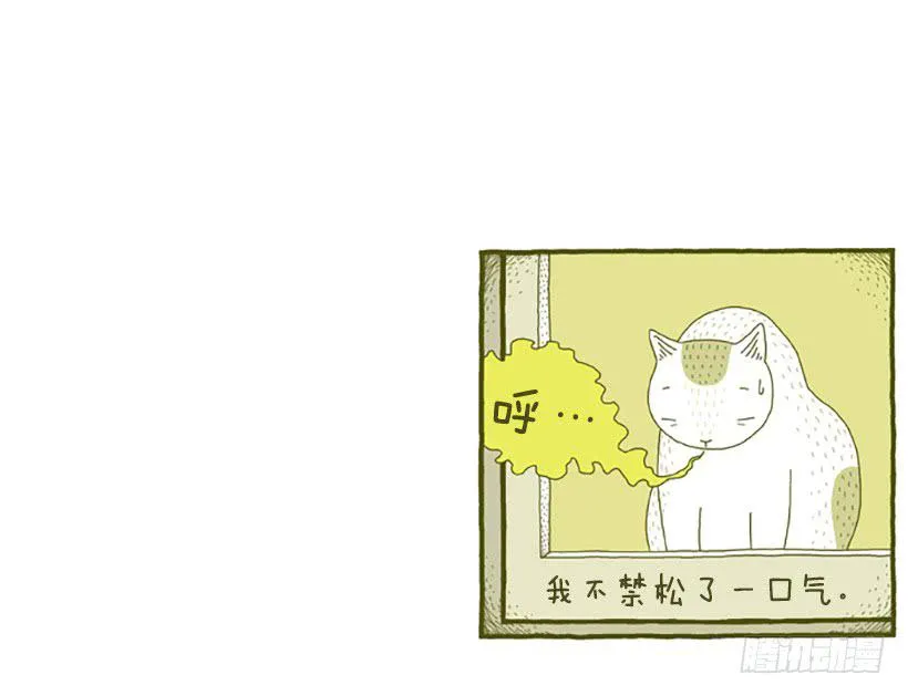 窗外的猫 下篇 第20页