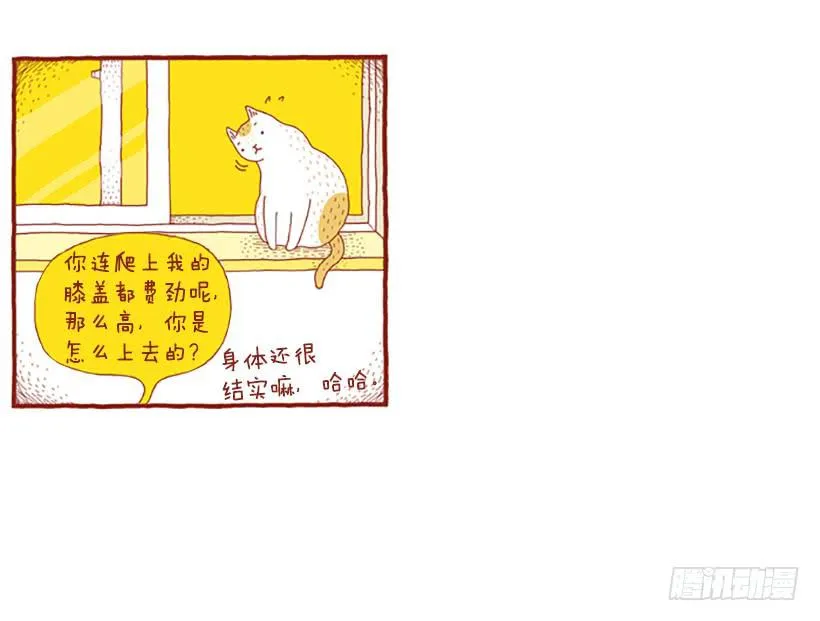 窗外的猫 下篇 第26页