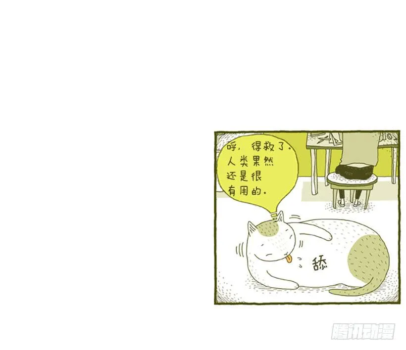 窗外的猫 下篇 第34页